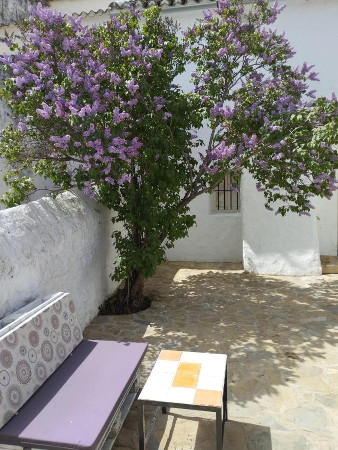 Casa Bejar, Tranquila Casa Con Chimenea, Patios, Junto A La Piscina Villa Canete la Real Kültér fotó